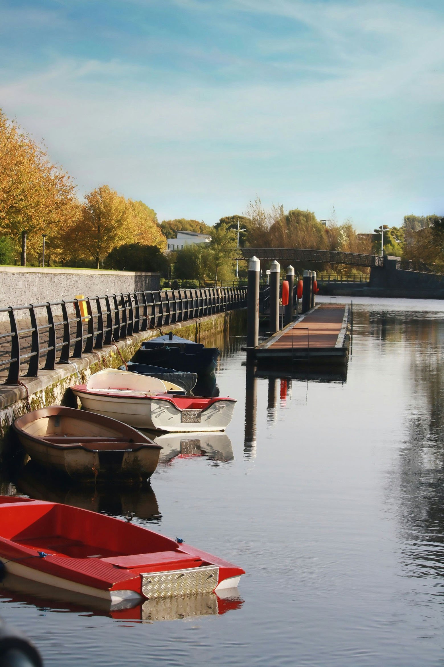 town-of-carlow-countycarlow